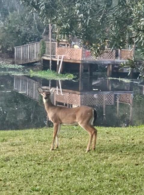 A home in DEBARY