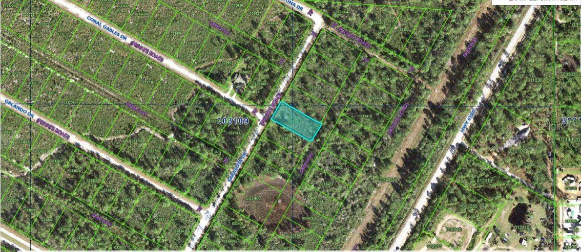 INDIAN LAKE ESTATES - Land