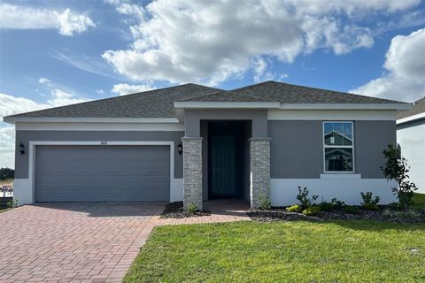 Photo of 6821 Serpent Hawk Lane Street, Howey In The Hills, FL 34737 (MLS # O6224868)