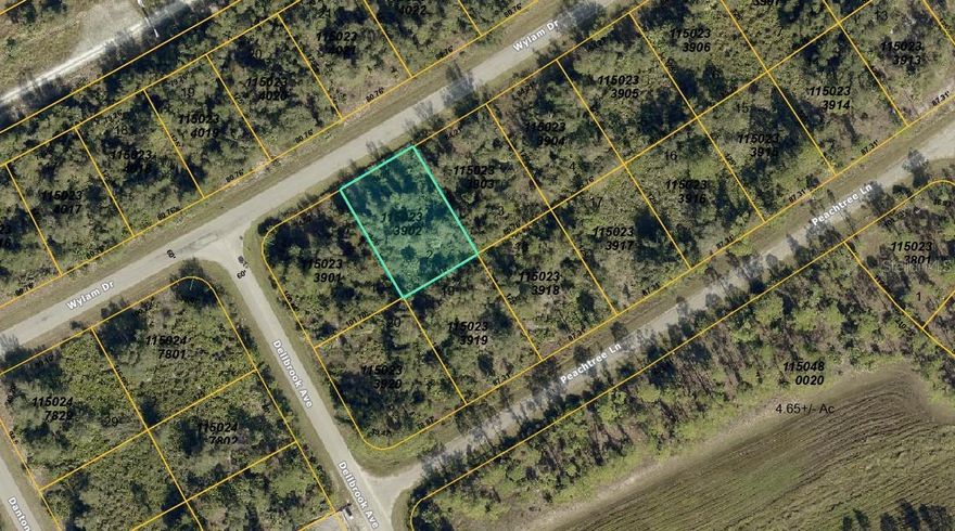 Discover the perfect opportunity to build your dream home on Lot 2 Wylam Drive in North Port, FL 34288. Located in an incredibly quiet and peaceful residential area, this property offers an ideal setting for those seeking privacy, space, and the relaxed Florida lifestyle. Surrounded by natural greenery and low traffic, this lot provides a serene environment that feels tucked away while still being part of a growing community. It’s an excellent choice for homeowners looking to create a private retreat or for investors seeking land in one of Southwest Florida’s most desirable markets. North Port continues to expand with new development, shopping, dining, schools, and recreational opportunities, all within a convenient drive. Enjoy nearby parks, nature preserves, golf courses, and easy access to major roadways for commuting or weekend trips to area beaches. Whether you’re ready to build now or planning for the future, this residential lot offers outstanding potential in a location known for its tranquility and long-term value. Secure your place in a quiet corner of North Port and bring your vision to life.