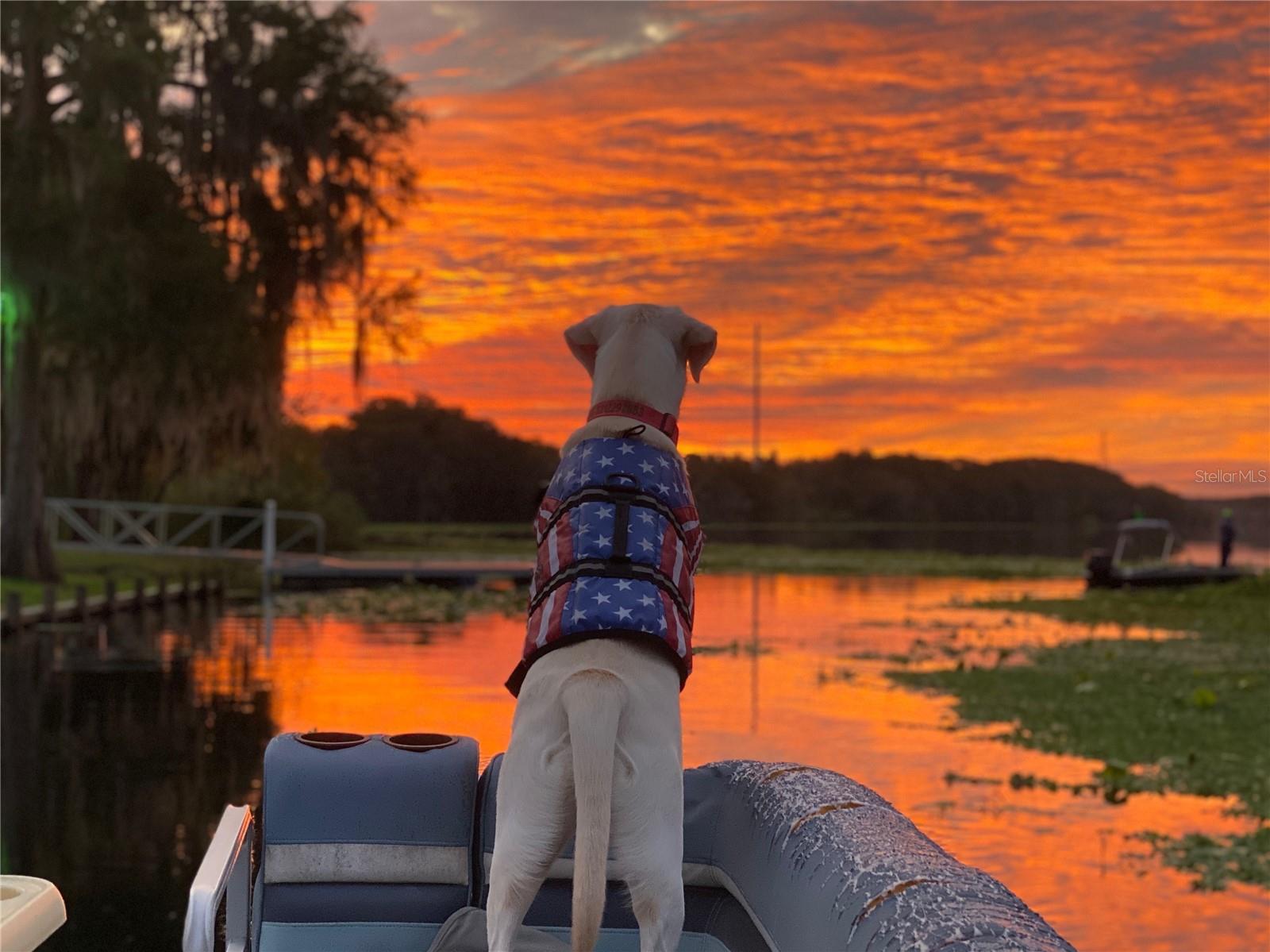 LEISURE WORLD PARK - Land