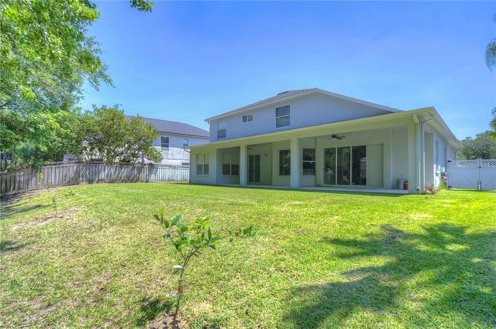 TAMPA PALMS AREA 04 REP - Residential