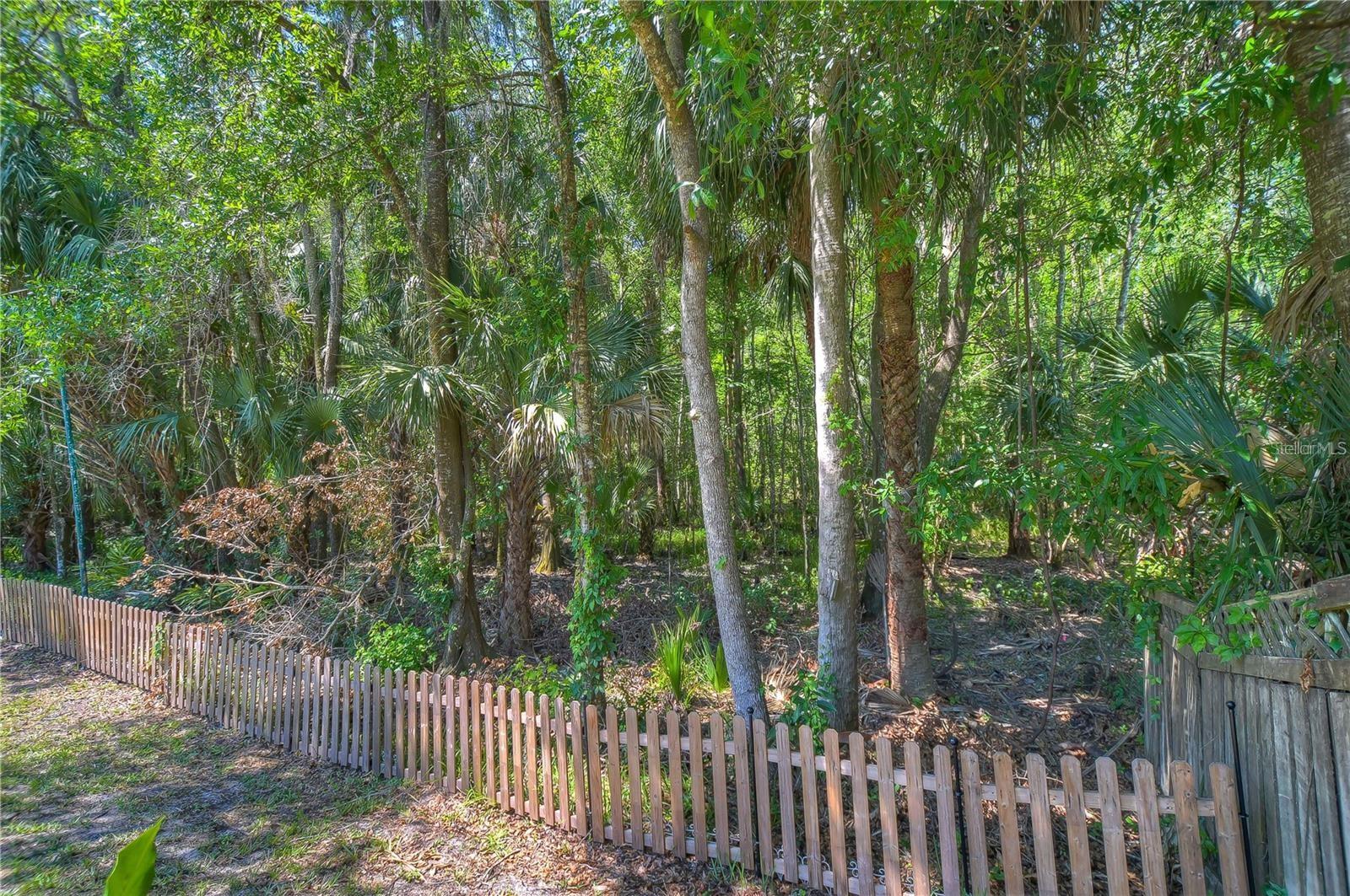 TAMPA PALMS AREA 04 REP - Residential