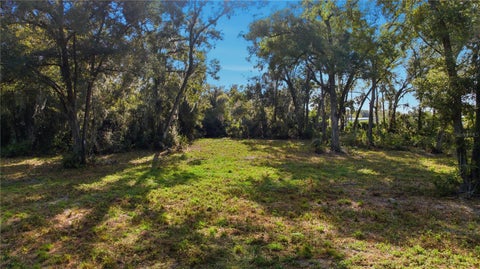 Tiny photo for Tbd NW 20th Street, Ocala, FL 34475 (MLS # OM713707)