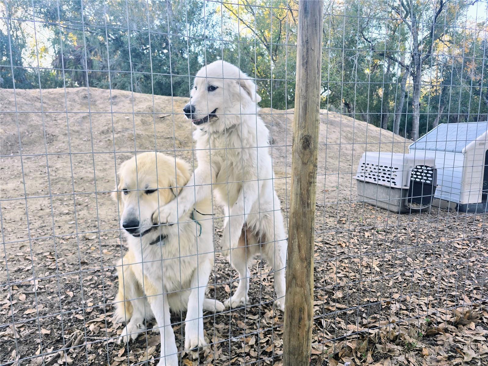 ROYAL PARK ESTATES - Residential