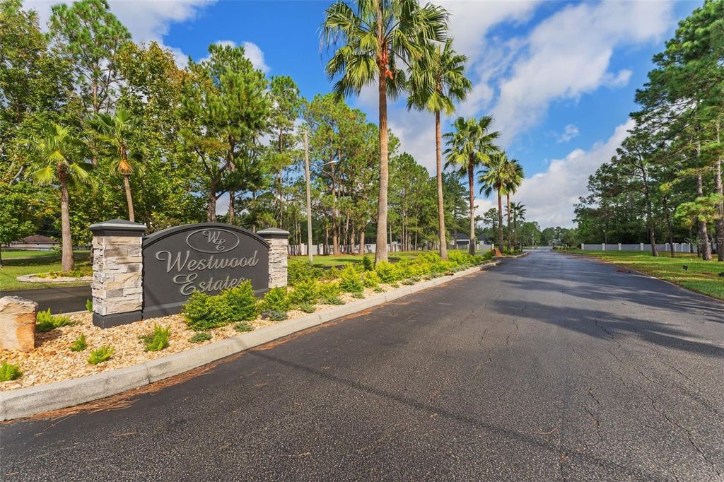 Photo of 8548 Spring Forest Lane, Wesley Chapel, FL 33544 (MLS # TB8309417)