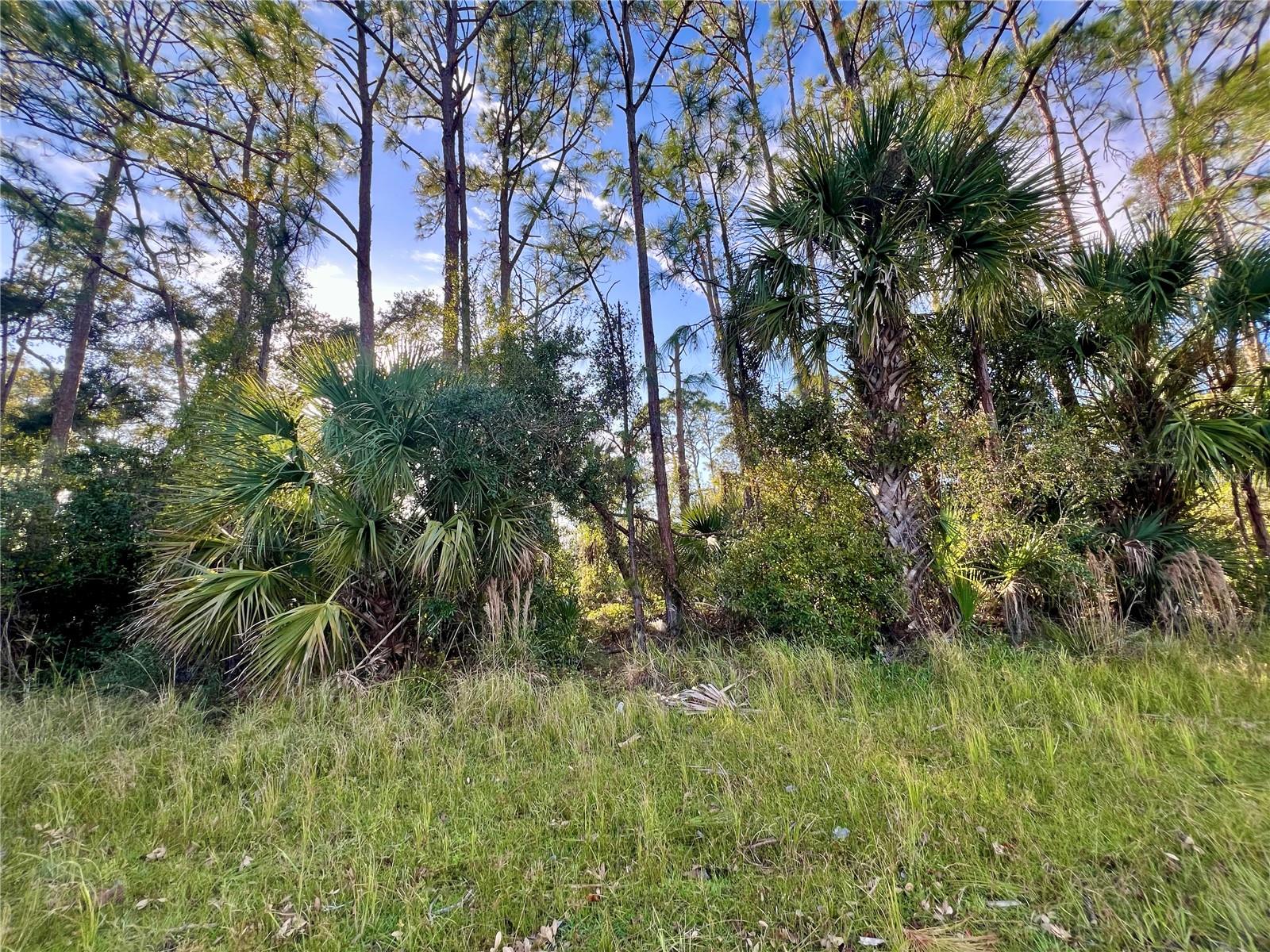 Beautifull lot offers a unique opportunity to build the home of your dreams, Situated in Nort Porth area, this land boast panoramic views and convenient location close to local amenities.