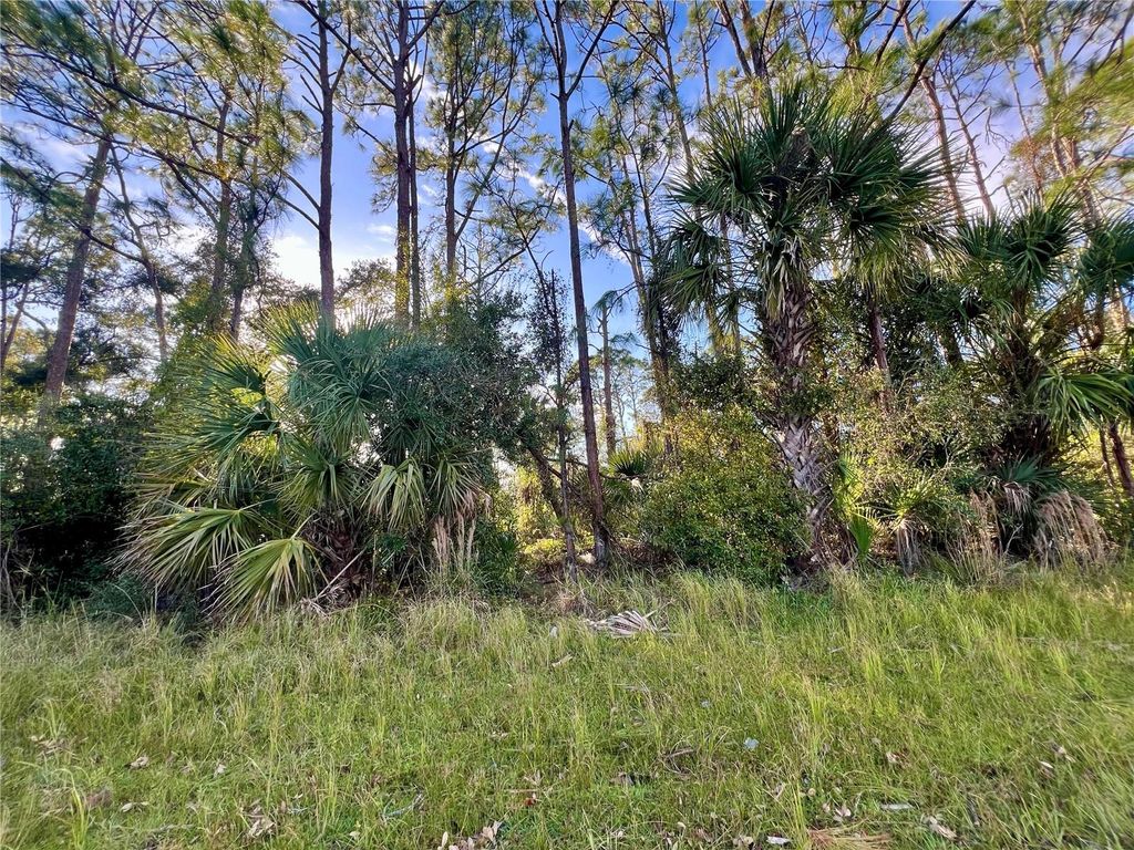 Photo of Lummus Street, North Port, FL 34286 (MLS # C7497102)