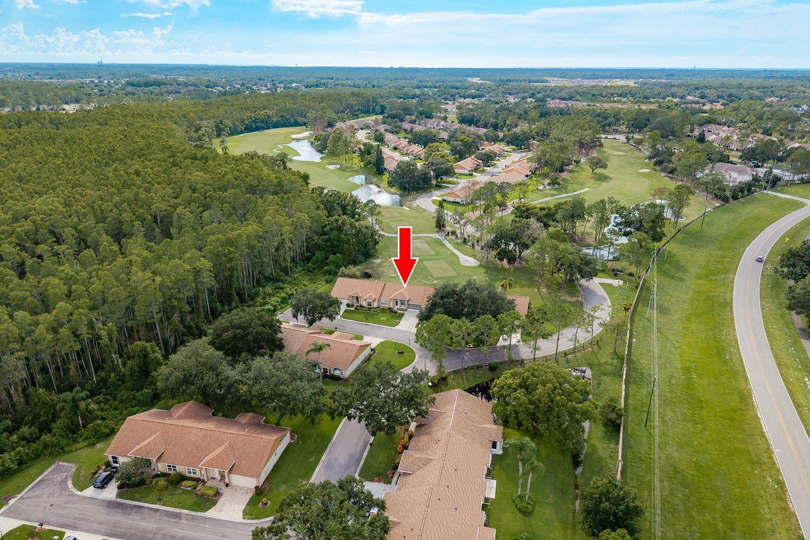 5935 PRECIOUS VIEW COURT