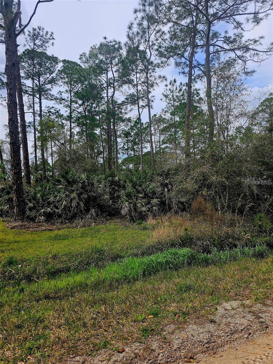 DAYTONA PARK ESTATES SEC F - Land