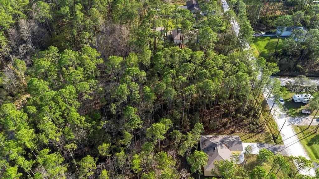 DAYTONA PARK ESTATES SEC F - Land