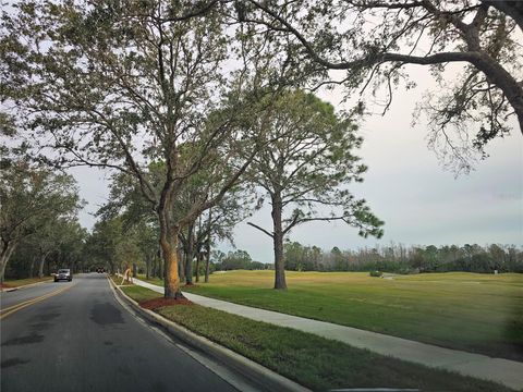 A home in DAYTONA BEACH