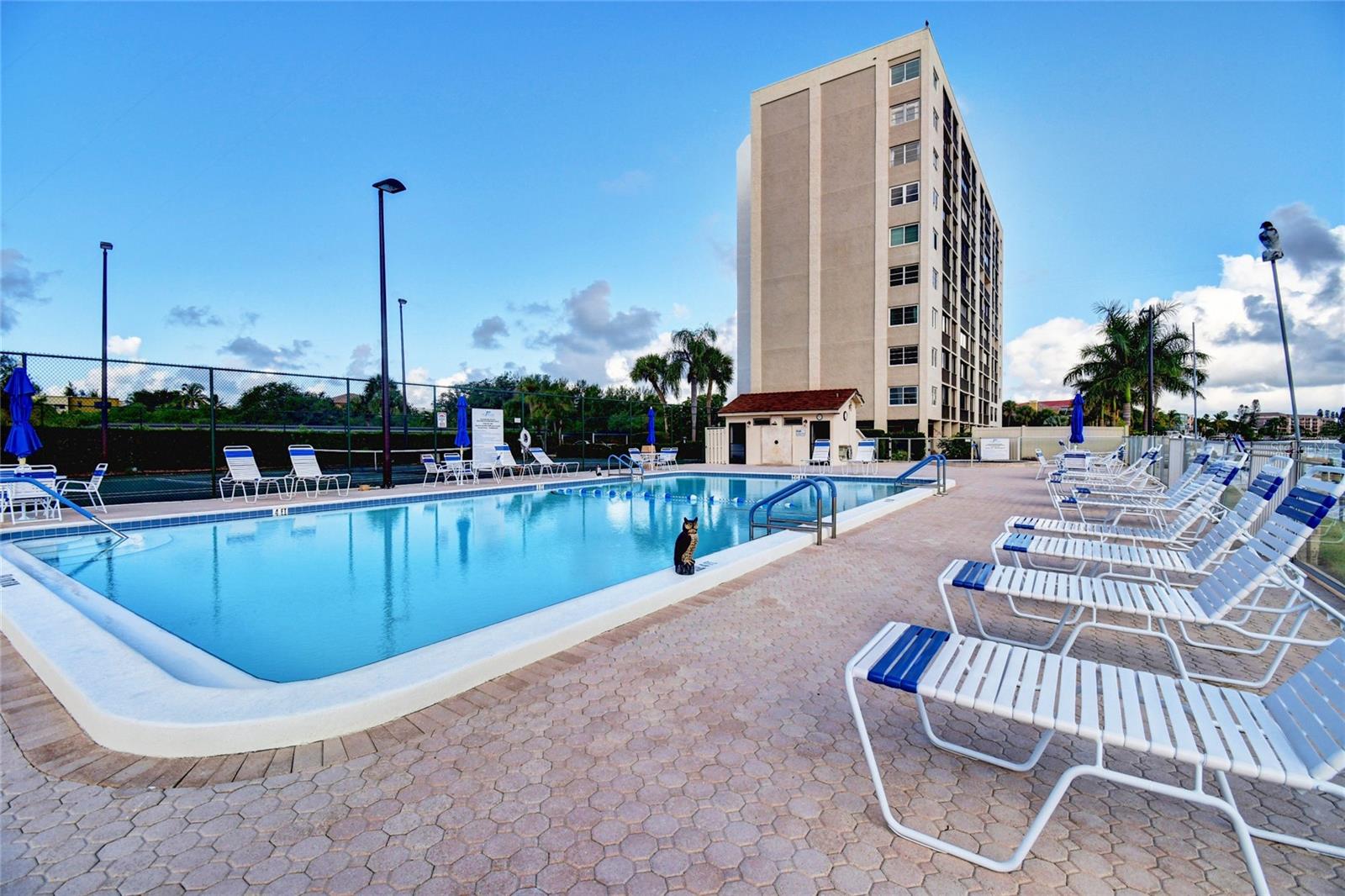 POINTE ON MIDNIGHT PASS - Residential