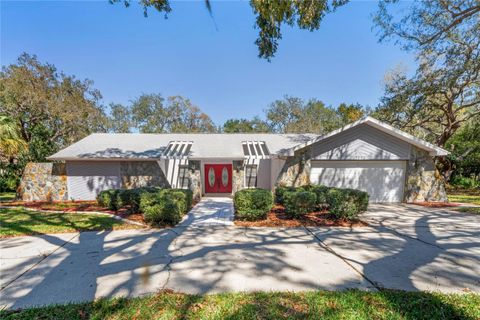 7256 ROYAL OAK DRIVE SPRING HILL FL 34607