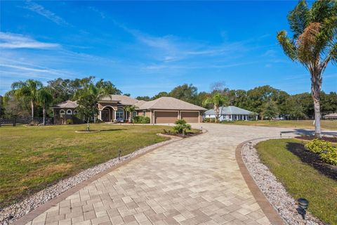 A home in EUSTIS