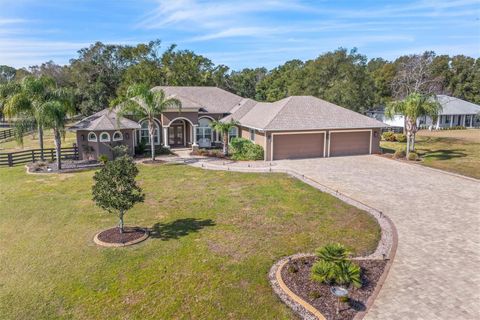 A home in EUSTIS