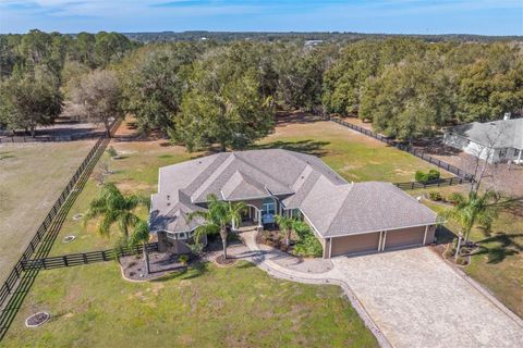 A home in EUSTIS