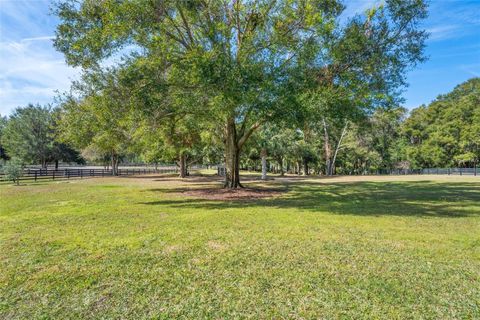 A home in EUSTIS