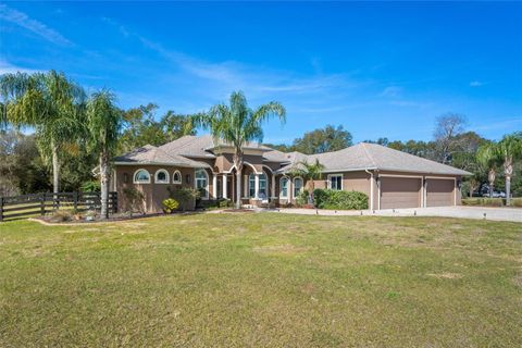 A home in EUSTIS