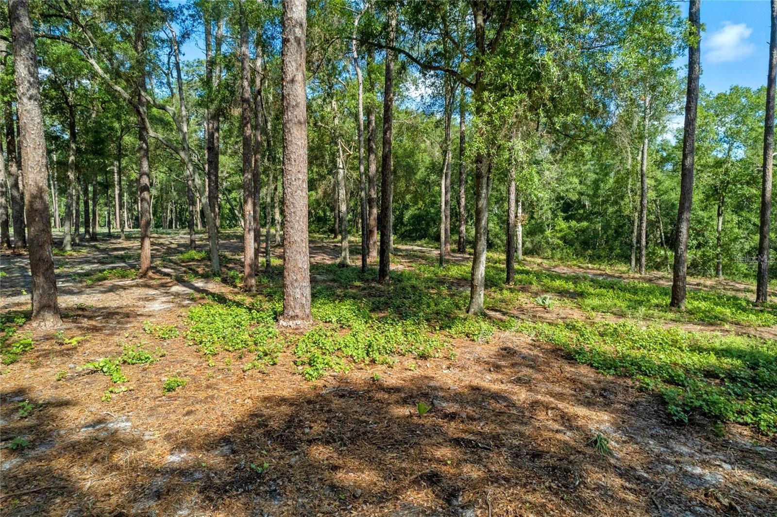 Discover nearly 10 acres of prime land, partially cleared and ready for your vision! This expansive property boasts 849 feet of frontage on State Road 44, offering plenty of space to build your dream home nestled within the trees for unparalleled privacy. The property includes a brand new well, a 100 amp electrical box equipped with a 30 amp outlet and four 110/115 electrical outlets with covers, and electric and septic already in place. Being zoned agricultural, the possibilities for use are endless. Don't miss this incredible opportunity! Call to schedule an appointment to view the property.