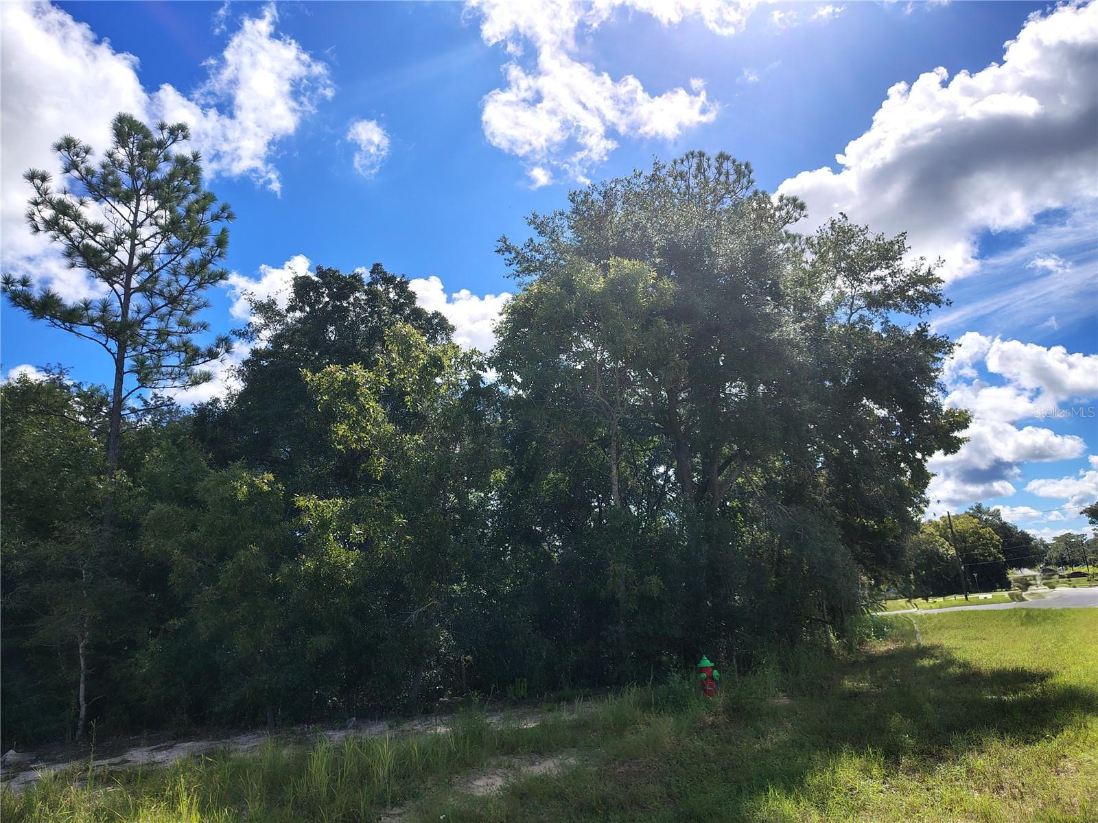 SILVER SPRINGS SHORES UNIT16