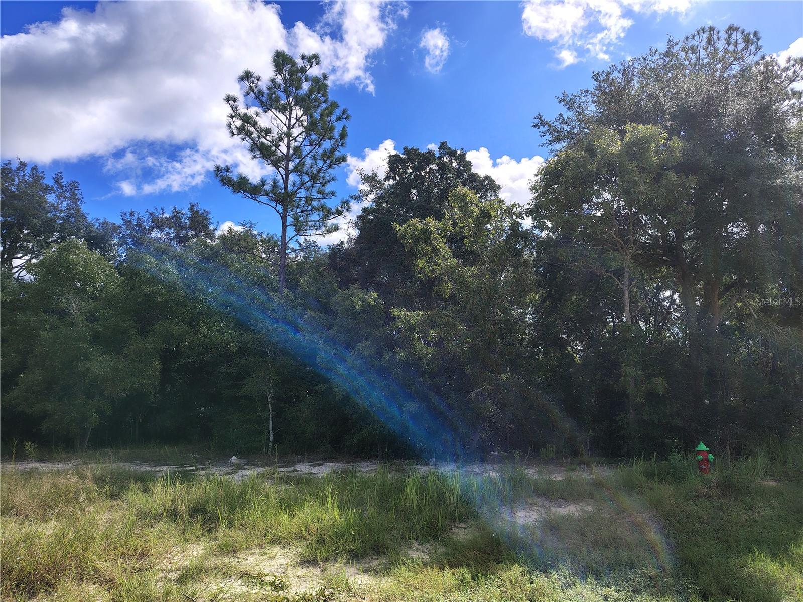 SILVER SPRINGS SHORES UNIT16
