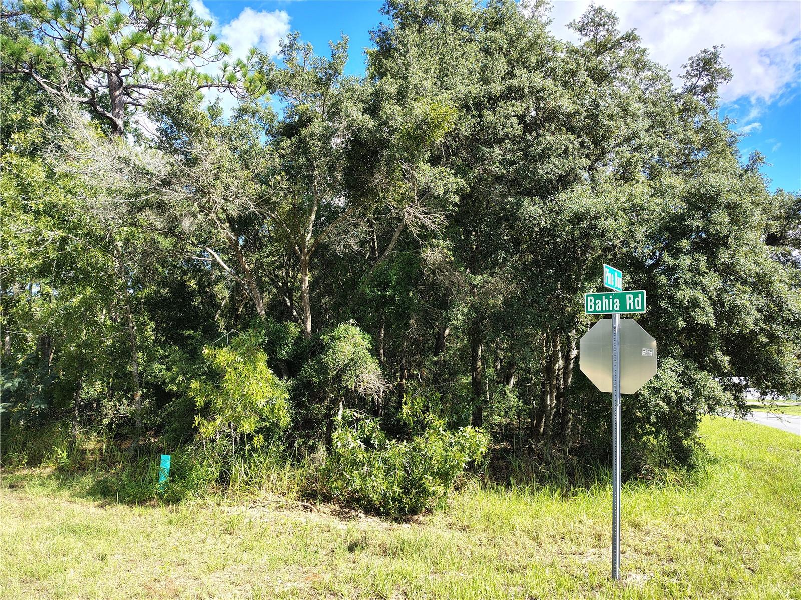 SILVER SPRINGS SHORES UNIT16