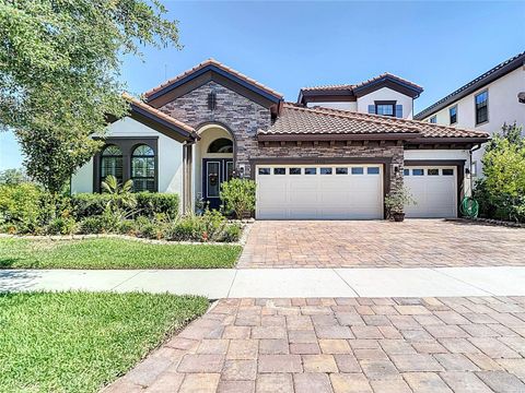13706 OSPREY FERN LANE RIVERVIEW FL 33569