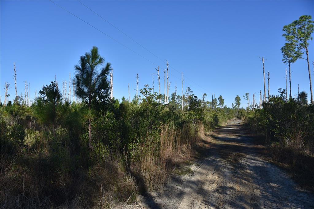 This area is steadily growing. This property is set back off the main road. With the pines being removed years ago, it has a blank slate for future use. It is full of small brush, and voluntary pines about 8 ft tall. Everything can be removed very easily for an area that needs to be cleaned up for a structure. This tract also has a great opportunity for recreational use, such as 4 wheeling or hunting. A trail system would be really easy to create. Please call me with any questions or to schedule a showing.