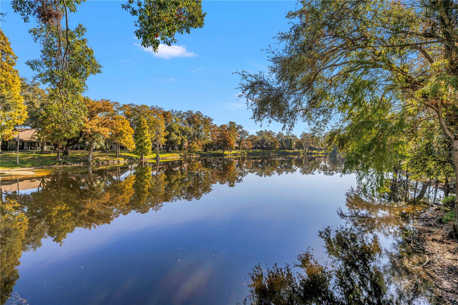 VILLAGE ON THE GREEN - Residential