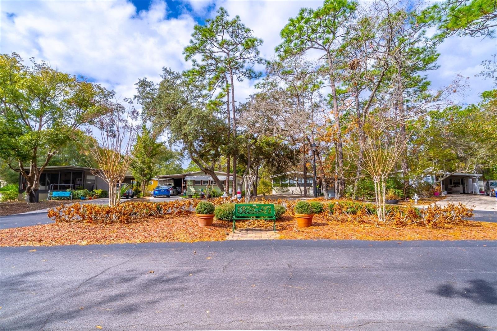 THE FOREST - Residential