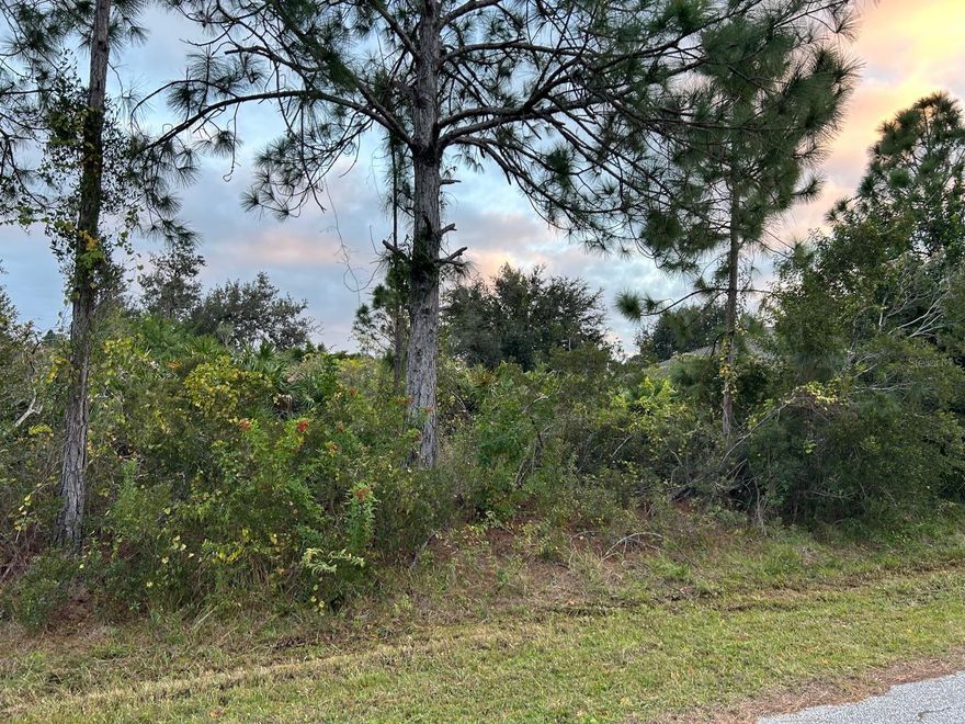 Excellent opportunity in North Port FL. Vacant Land located in a growing area, close to schools,supermarkets, restaurants and parks. Ideal to build your home or as a future investment.