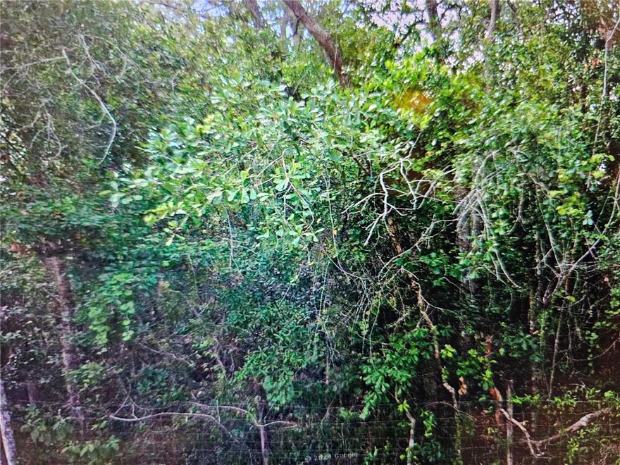 Welcome to your vacant land open canvas property at Moon Lake Estates! This plot of land residential land is available for you to use to build your dream home or to keep as an investment. This up and coming neighborhood of Moon Lake Estates boasts quiet roads and an amazing Moon Lake public Park, nestled on Moon Lake. This property is not located in a flood zone, so no flood insurance is required. Return to a quiet, more simple way of life with your new land purchase. With AR (agricultural-residential) zoning, this property has even more potential for development! The sellers for this plot are also selling multiple other plots of land in Moon Lakes Estates. Please inquire with your real estate agent or with the listing agent for more information. All statements in the listing are believed to be true and reliable by the seller and listing agent. Buyer and buyer's agent should verify all facts, statements, and measurements.