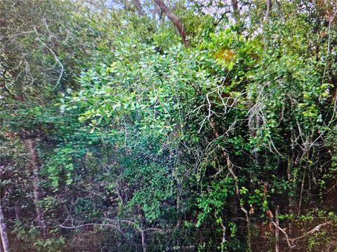Photo of 0 Lisbon Street, New Port Richey, FL 34654 (MLS # TB8503429)