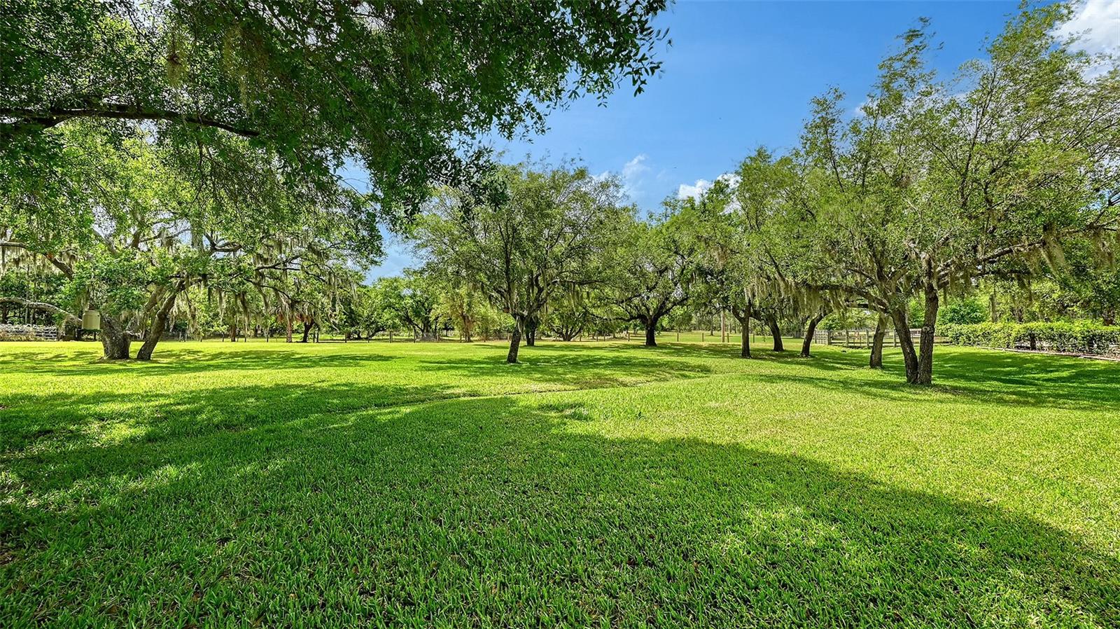 THE RANCHES AT PANTHER RIDGE - Residential