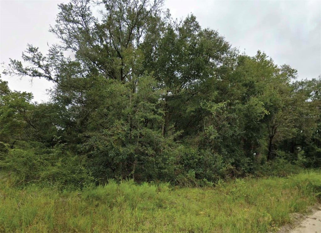 Photo of NE 2nd Place, Williston, FL 32696 (MLS # O6447886)