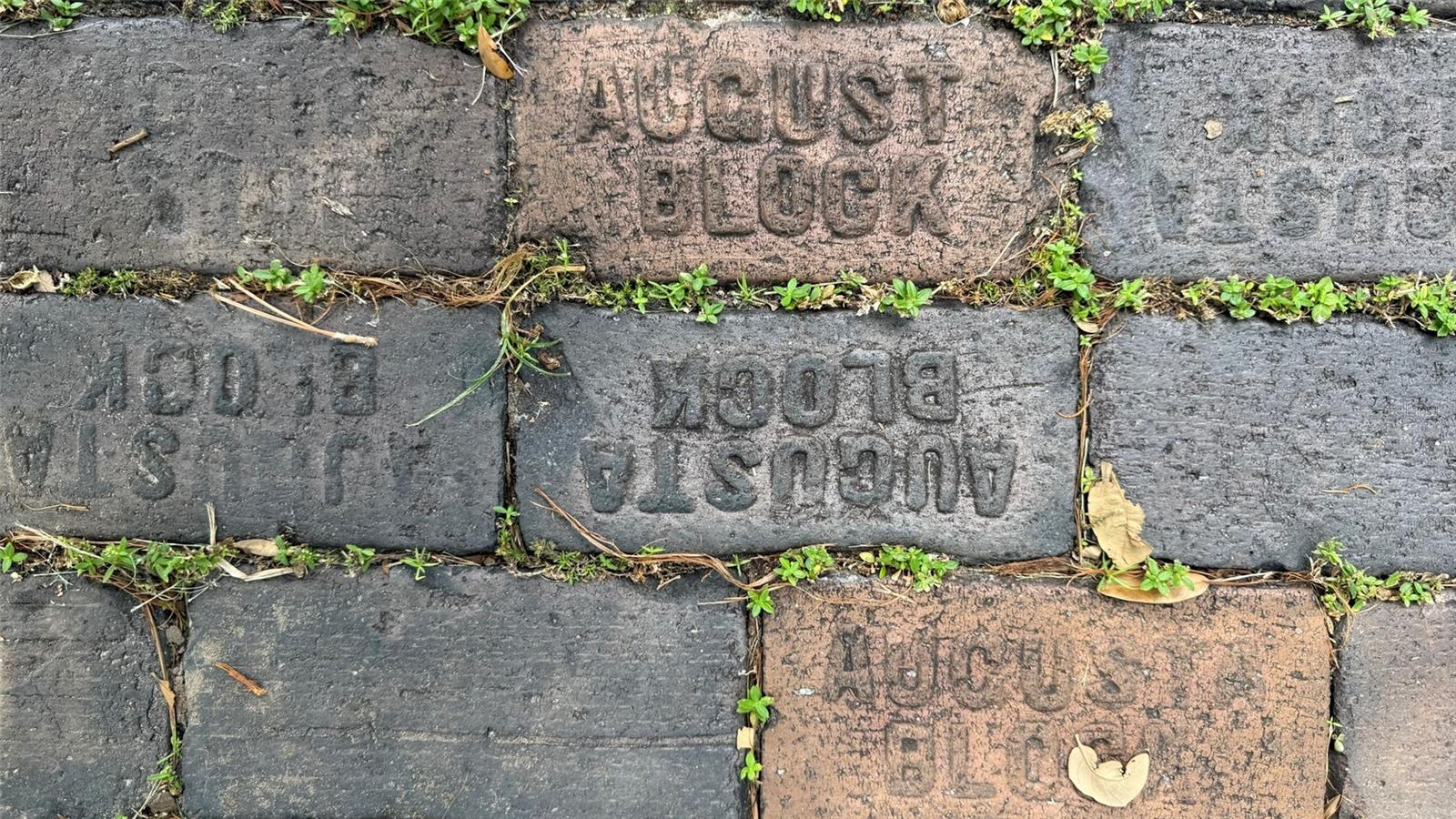 SNELL & HAMLETTS NORTH SHORE ADD - Residential