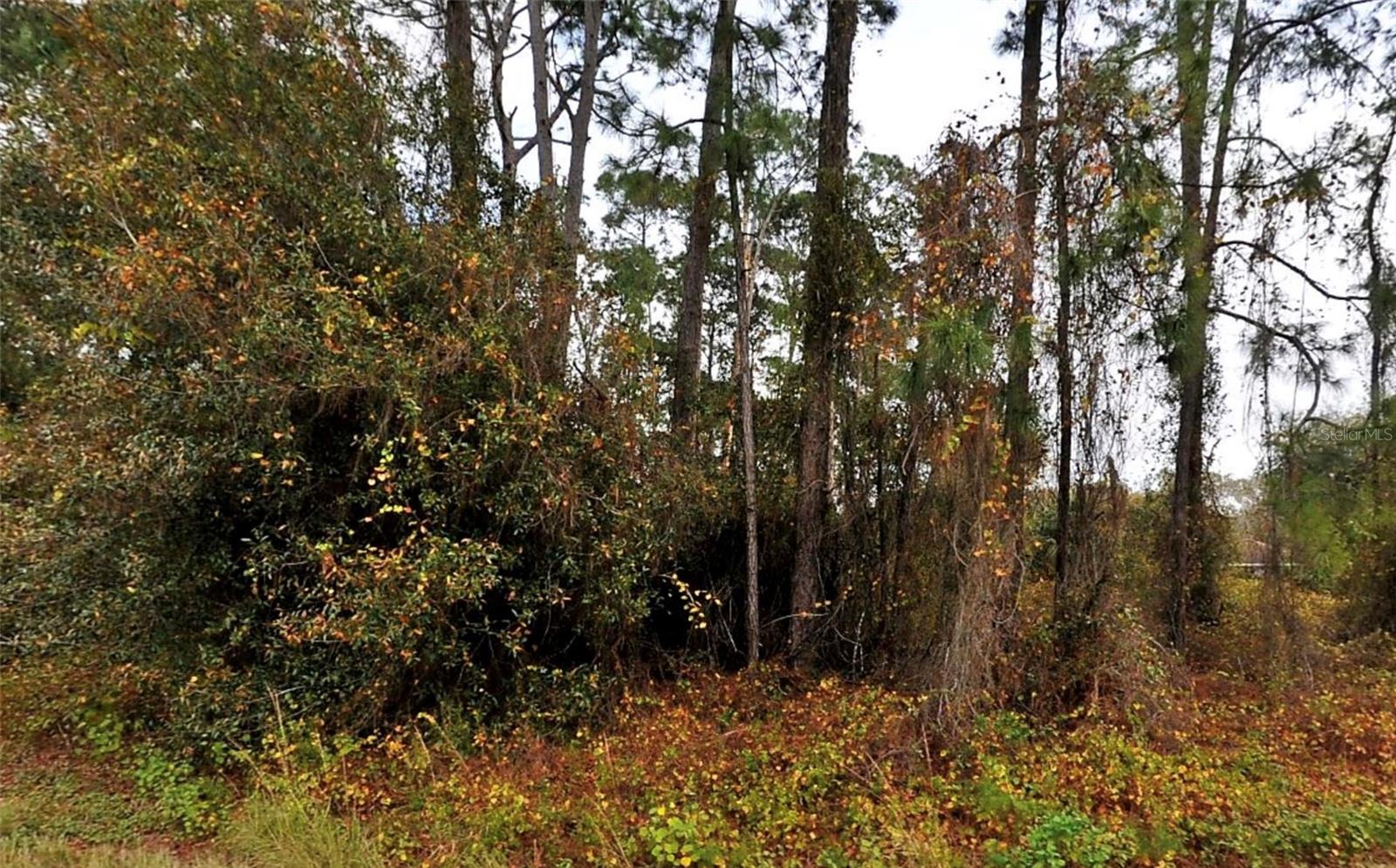 PORT CHARLOTTE SUB 28 - Land