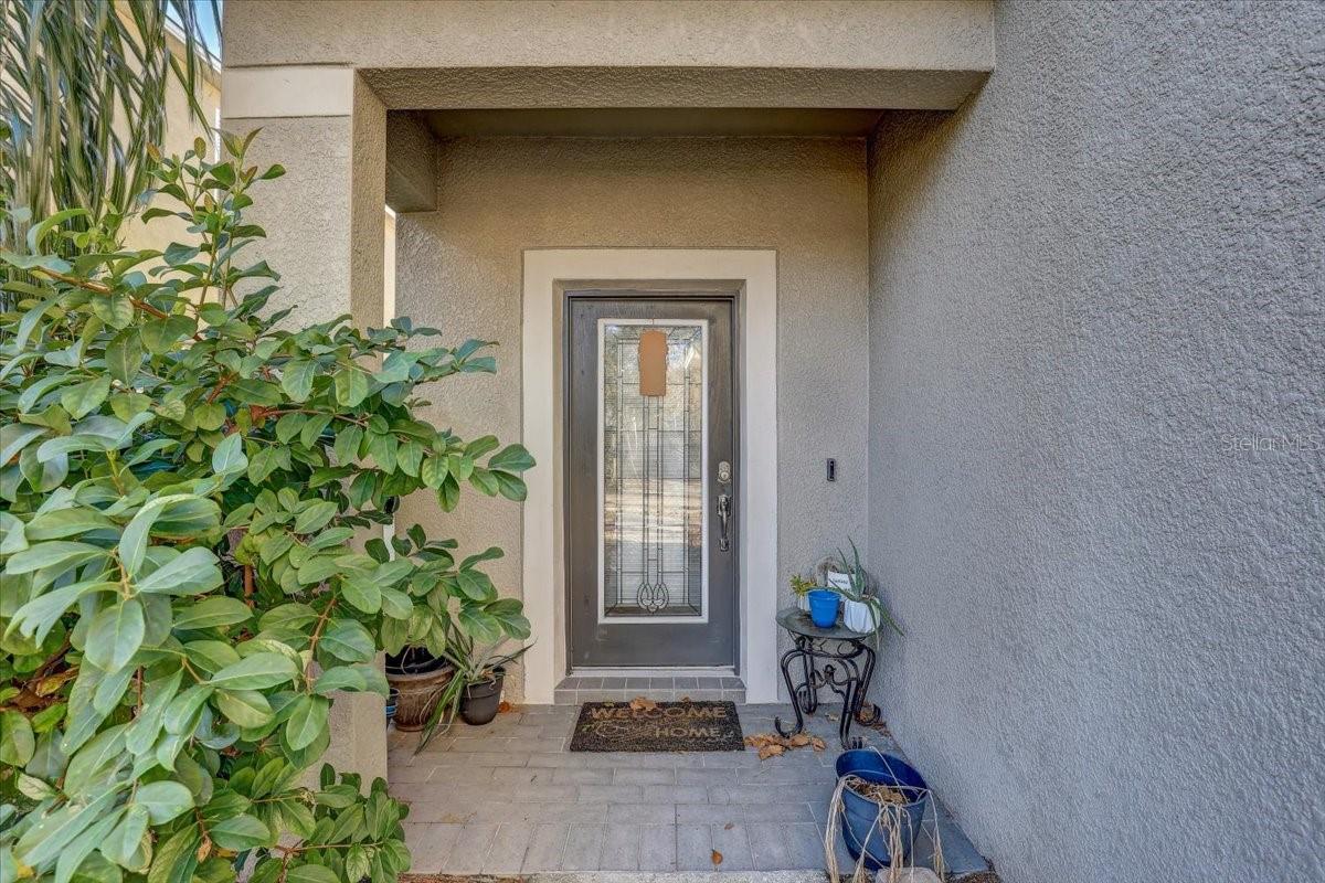 15521 LONG CYPRESS DRIVE