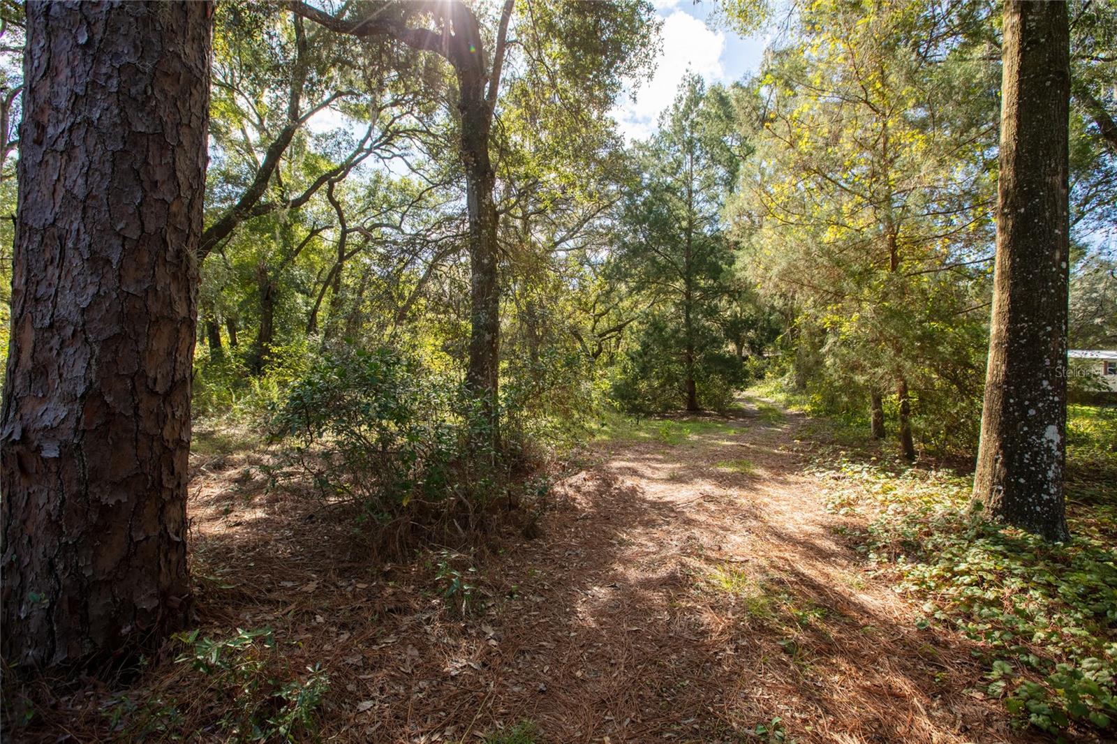 METES AND BOUNDS - Residential