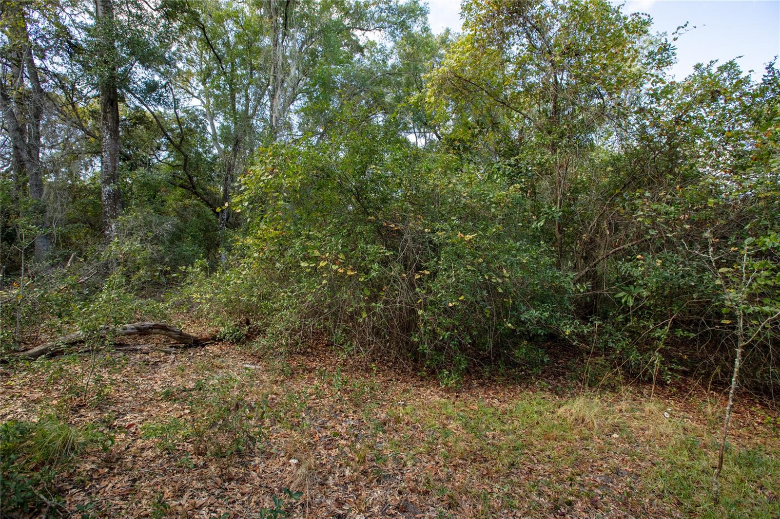 METES AND BOUNDS - Residential