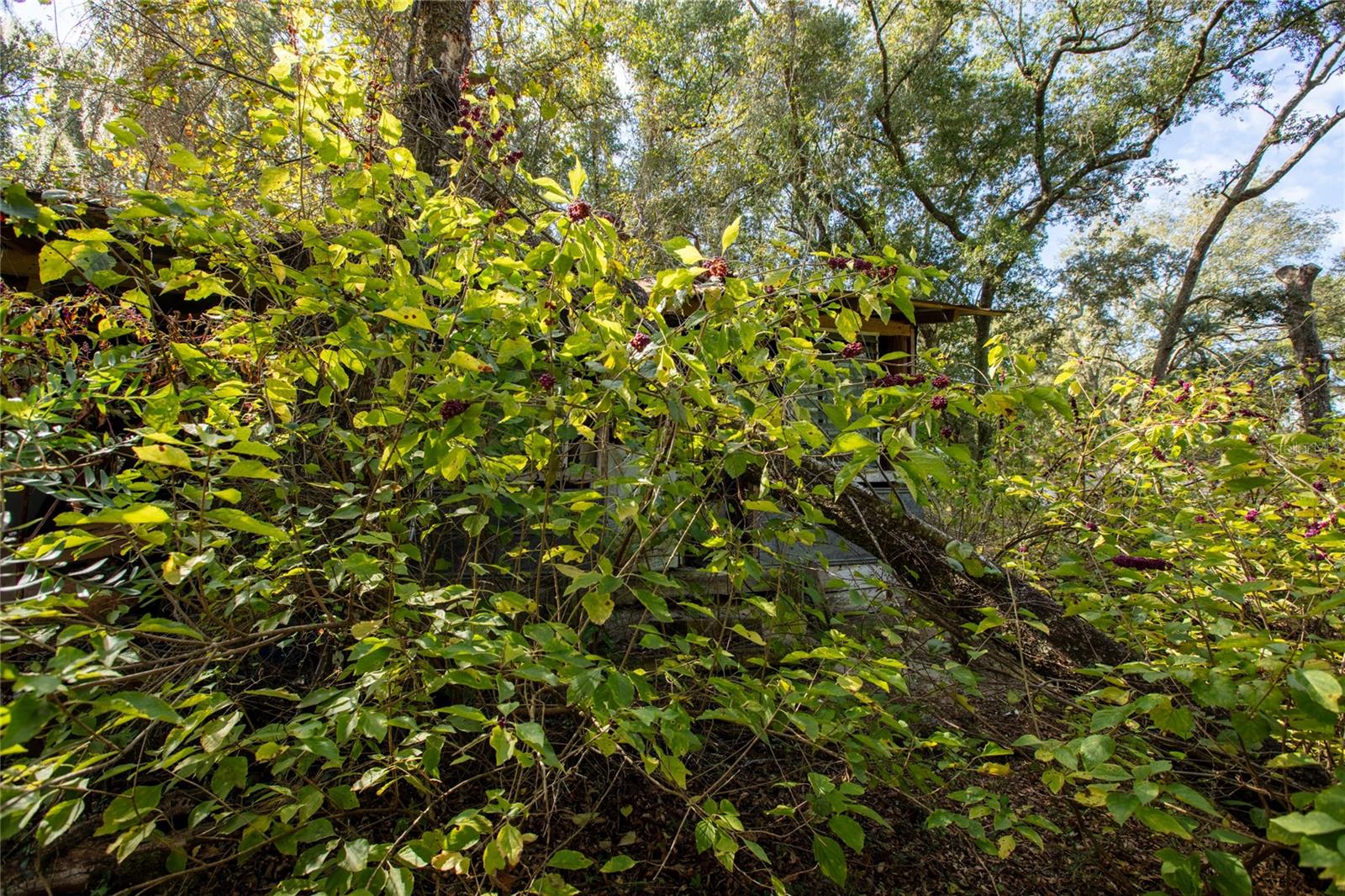 METES AND BOUNDS - Residential