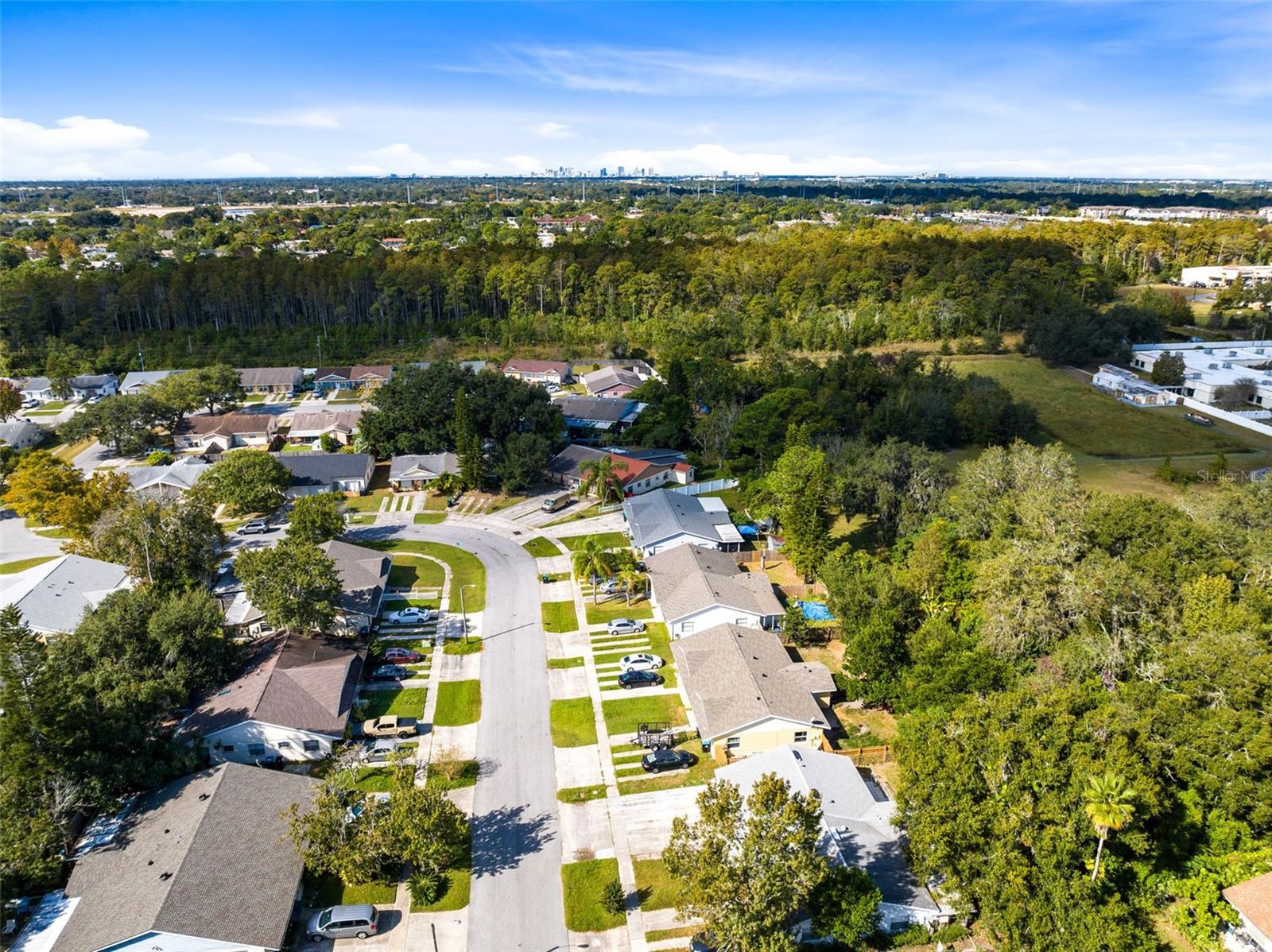 QUAIL HOLLOW AT RIO PINAR - Residential