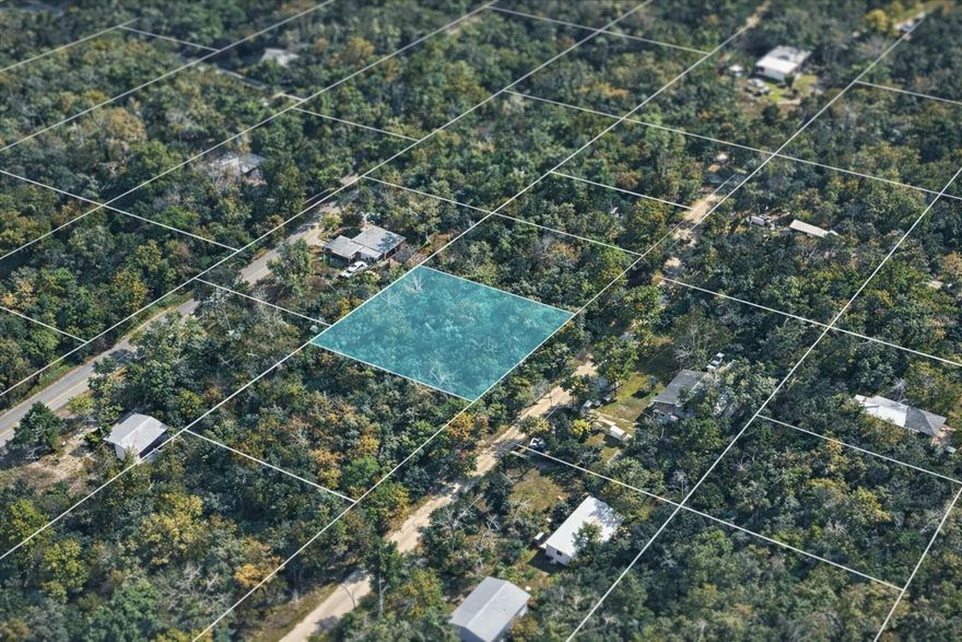 Prime Development Opportunity in Citrus County! Located at 6524 N Sourgum Terrace, Hernando, FL 34442, this vacant parcel is zoned CLRMH (Coastal Low-Rise Multi-Family High Density), offering excellent potential for multi-family residential development. The zoning allows for higher-density, low-rise residential uses, making it ideal for apartments, townhomes, or condo-style projects (buyer to verify all intended uses with Citrus County). Situated in a quiet area with convenient access to local amenities, schools, and major roadways, this property presents a strong opportunity for investors or builders looking to develop in a growing market. Cash purchase only. Buyer to pay all closing costs.