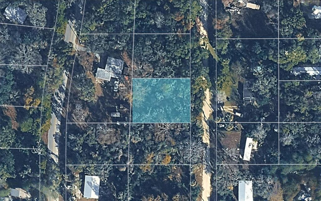 Photo of 6524 N Sourgum Terrace, Hernando, FL 34442 (MLS # TB8477244)