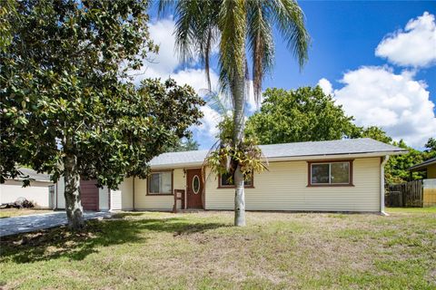 A home in PALM BAY