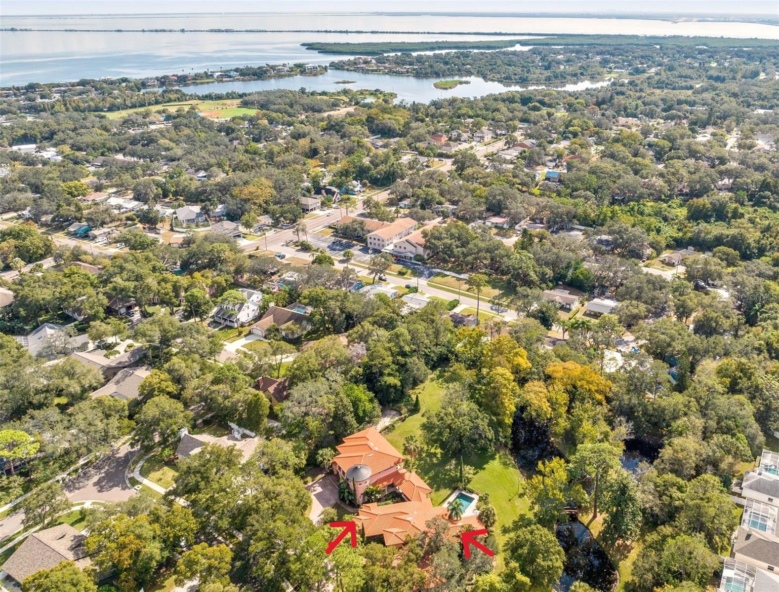 NEW PRICE IMPROVEMENT !!! This breathtaking custom designed Mediterranean estate home sits in a park-like
setting on a striking 2.5 acre, fenced and gated, idyllic, mature and inviting yard.
Yet, you can walk to downtown Safety Harbor with its famous restaurants and
marina on Tampa Bay. The estate is landscaped to showcase nature’s natural
beauty, with a villa-style pool, outdoor covered fully equipped kitchen and gas
fireplace, making it a rare example of perfect indoor and outdoor living. The
single-story main house has marvelous high ceilings, distinctive entrance with
unique architectural features throughout, a grand living area with gas fireplace
and lots of windows that provide a captivating view of the surrounding nature,
the light and lush landscaping. The grounds include 2 ponds with a picturesque
bridge connecting the two. You will find a 60 foot deep well for irrigation. The
accommodating and functional large gourmet kitchen with a walk-in service
pantry has everything for the chef in you; 6 gas burners, double ovens, tons of
generous counterspace and more! You can find two spacious split ensuite
bedrooms plus and office which can be an additional bedroom. Every detail of
this house is truly unparalleled and will be the envy of all. The two-story casita
includes an air-conditioned storage room, full pool bath, and a large ensuite
bedroom. This home boasts an impressive 27-foot-tall wine TOWER. Accessible
by a separate entrance, the casita upstairs is currently used as an office suite with
a fitness room, all wrapped around by a balcony with stunning views of the
property. Throughout this home, high impact Anderson windows and doors with
5-point locks give you security, energy savings and noise reduction. Along with
details like track lighting and an art museum quality hanging system, milled solid
wood interior doors and a stunning almost 300-year-old Egyptian door, this home
is a one-of-a-kind natural beauty. Bedroom Closet Type: Walk-in Closet (Primary Bedroom).