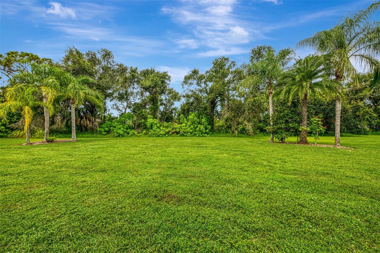 COUNTRY MEADOWS PH I - Residential