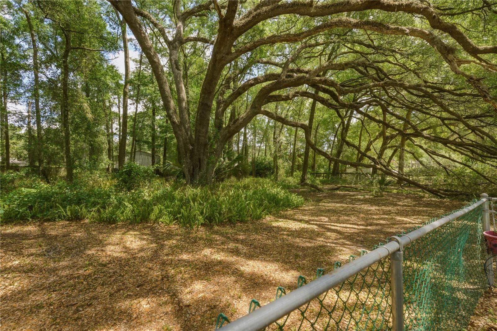 MEADOW WOOD FARMS - Residential