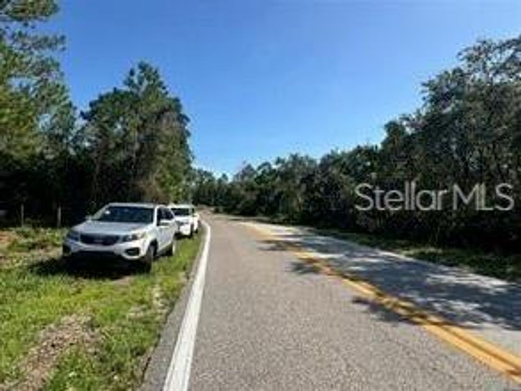 Photo of Lake Marion Creek Road, Haines City, FL 33844 (MLS # S5142237)